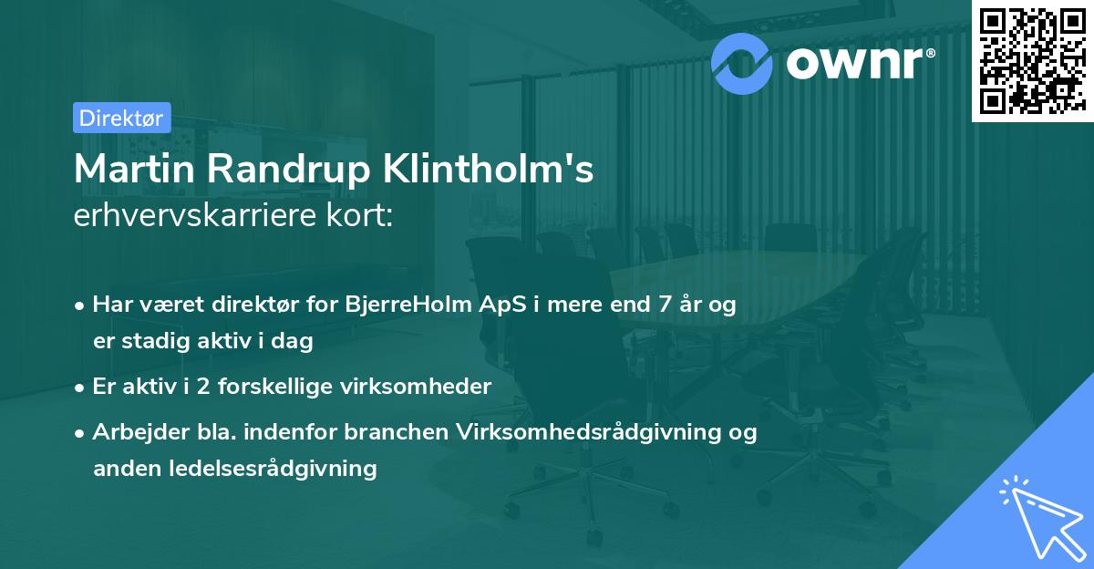 Martin Randrup Klintholm's erhvervskarriere kort