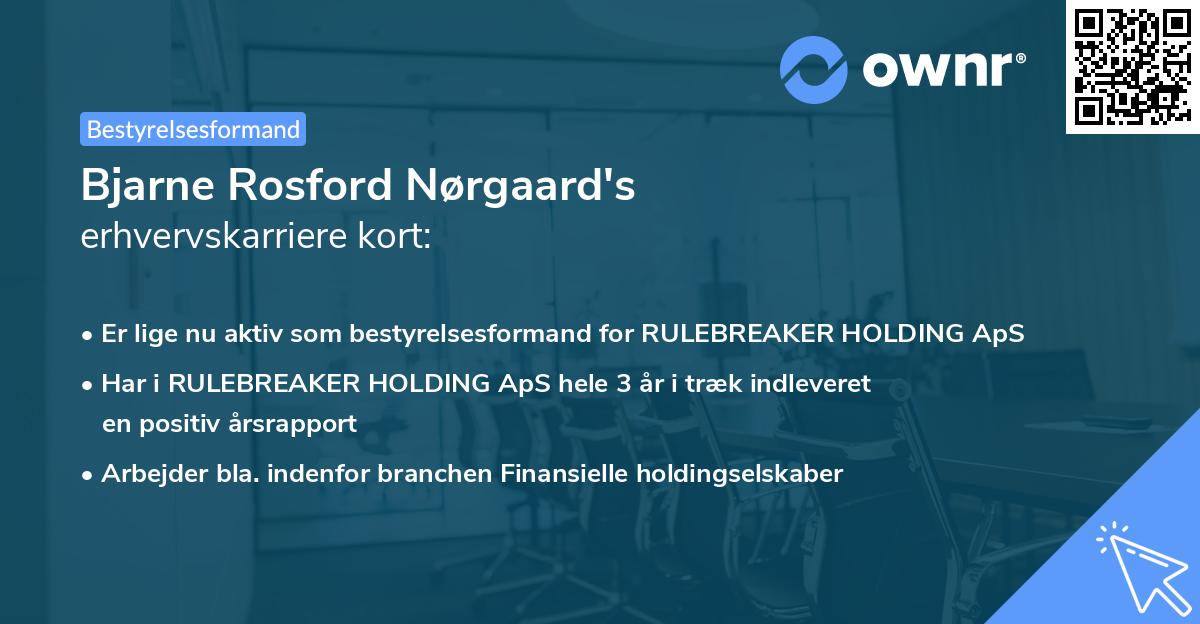 Bjarne Rosford Nørgaard's erhvervskarriere kort