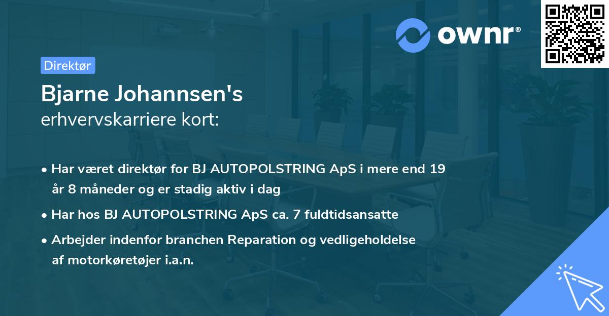 Bjarne Johannsen's erhvervskarriere kort