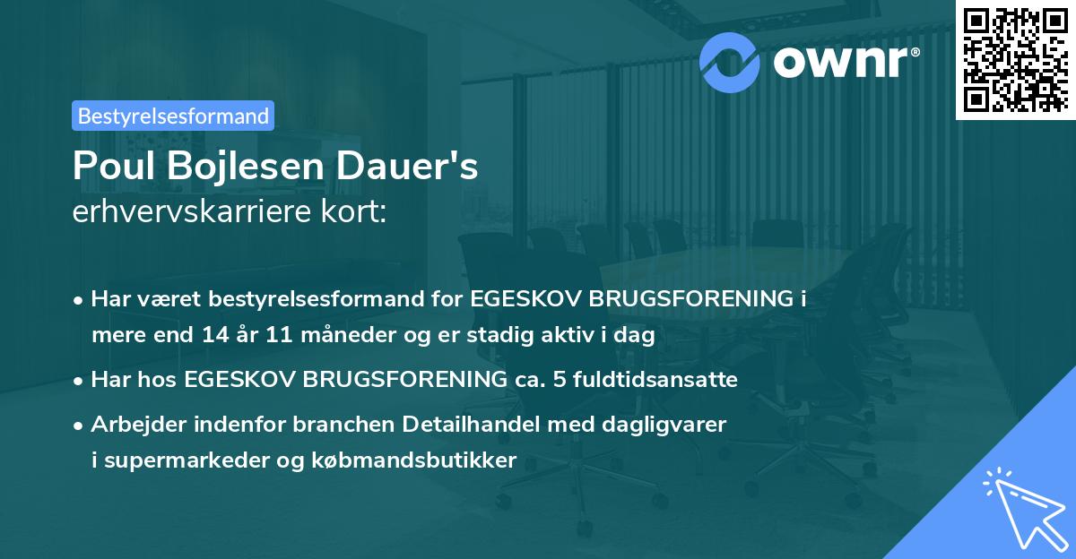 Poul Bojlesen Dauer's erhvervskarriere kort