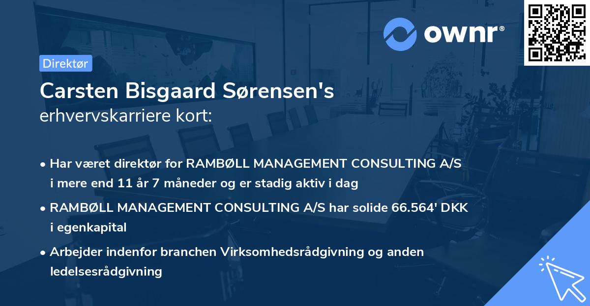Carsten Bisgaard Sørensen's erhvervskarriere kort