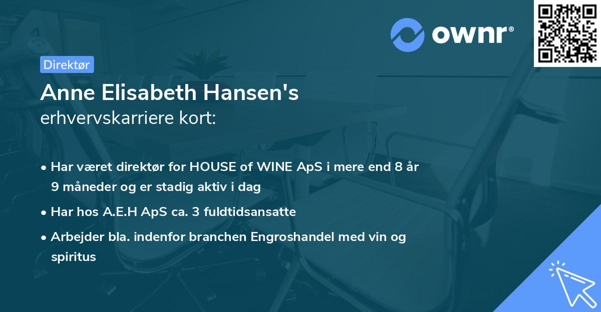 Anne Elisabeth Hansen's erhvervskarriere kort