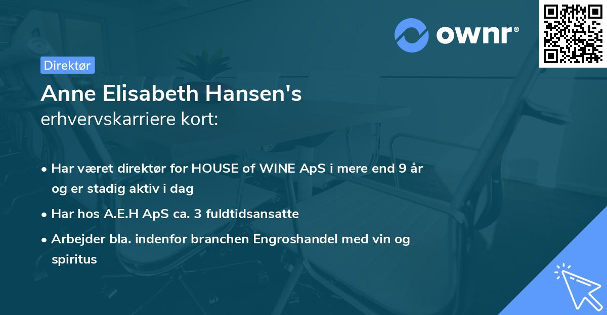 Anne Elisabeth Hansen's erhvervskarriere kort