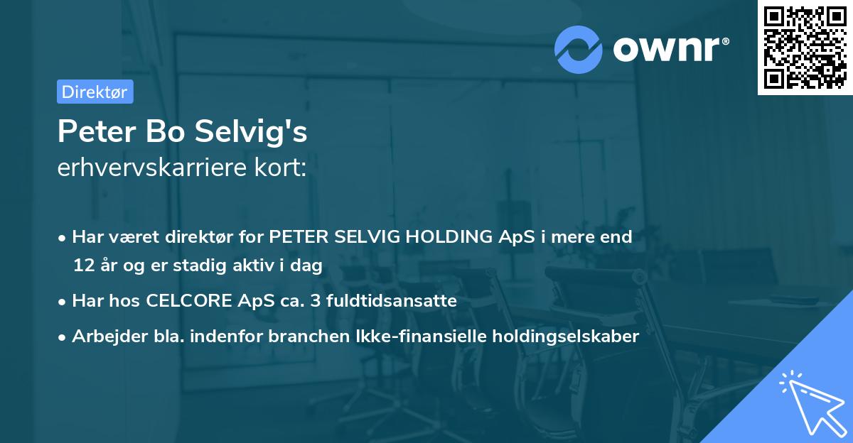 Peter Bo Selvig's erhvervskarriere kort