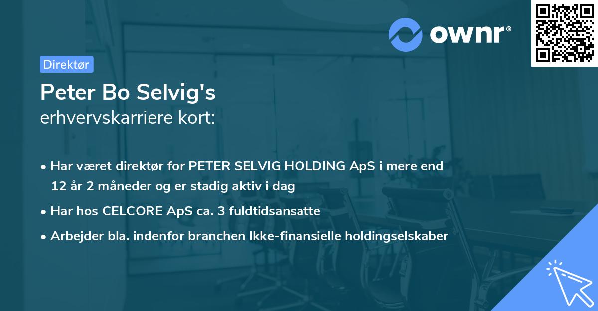 Peter Bo Selvig's erhvervskarriere kort