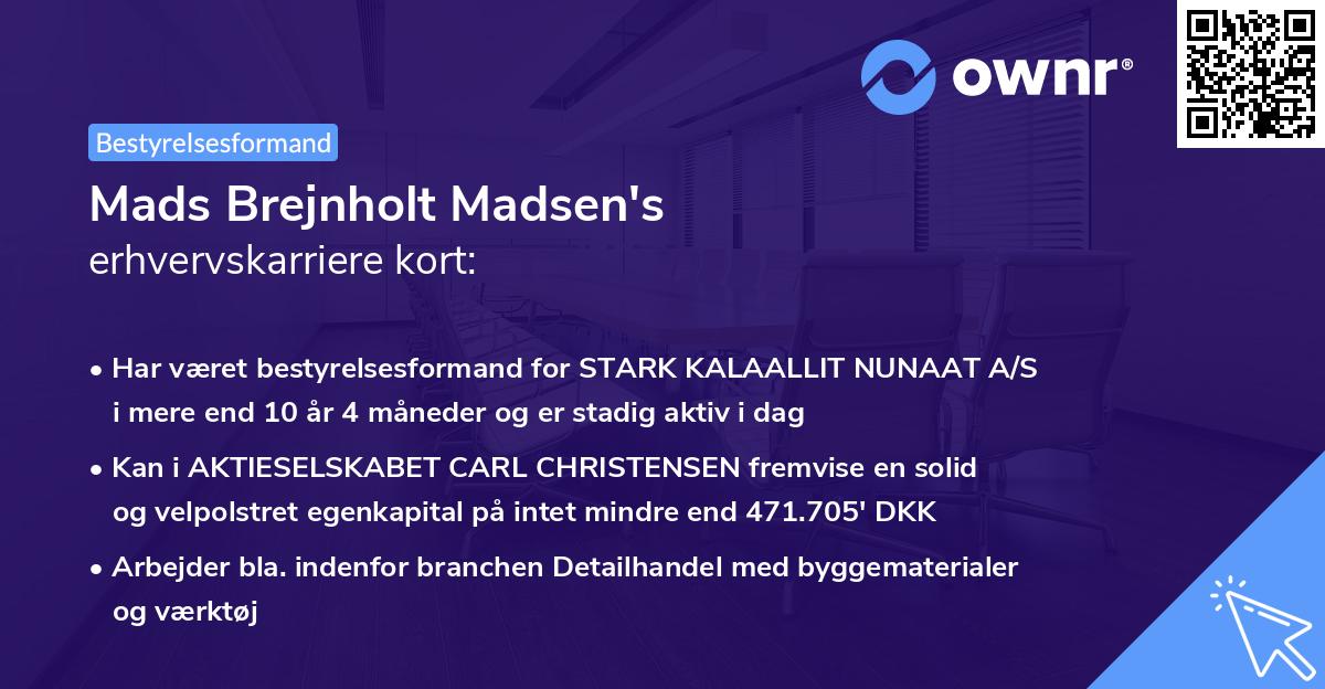 Mads Brejnholt Madsen's erhvervskarriere kort