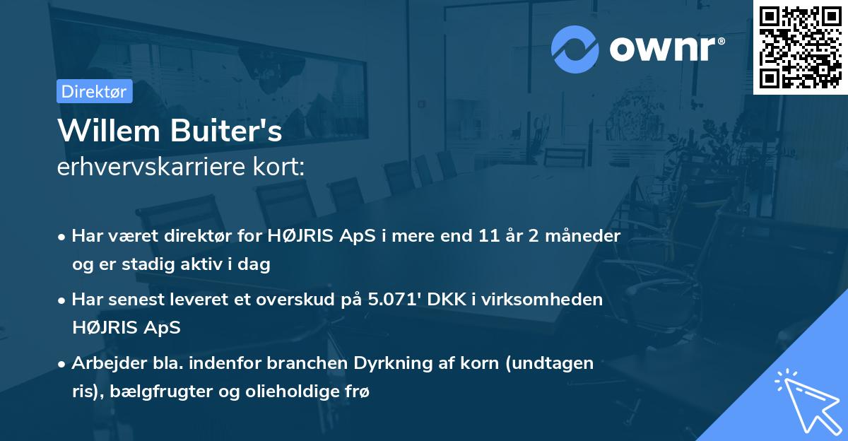 Willem Buiter's erhvervskarriere kort