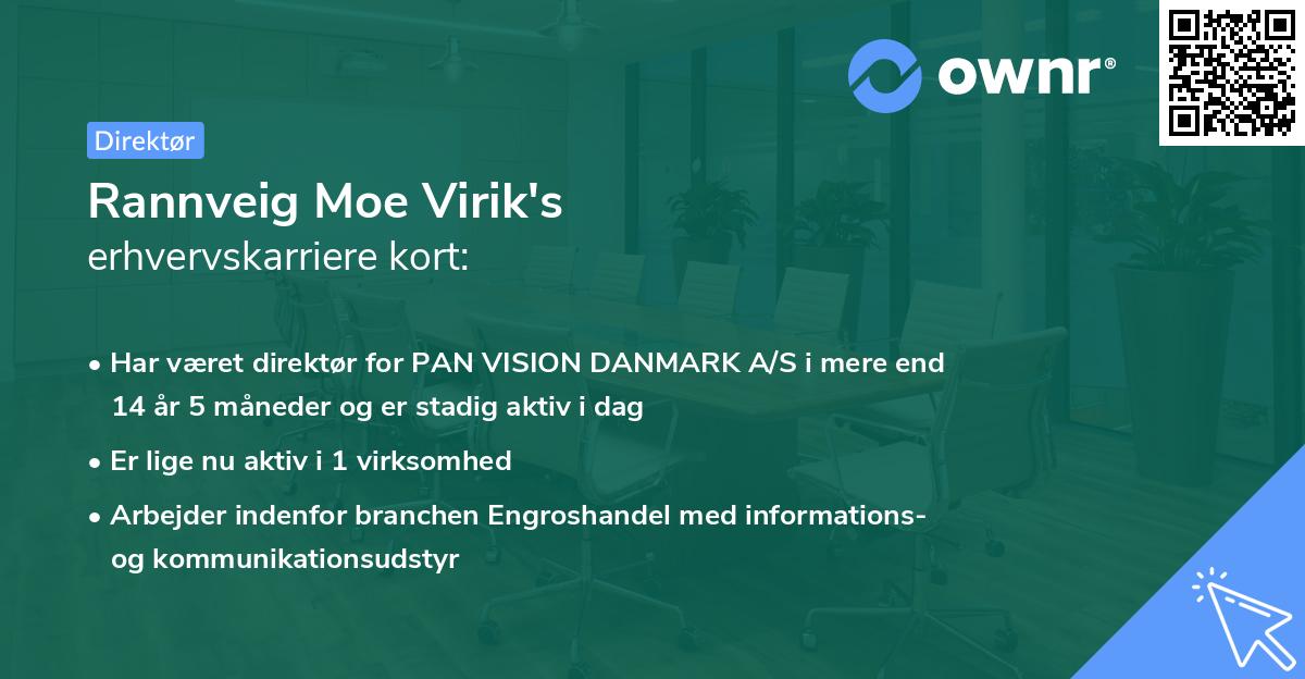 Rannveig Moe Virik's erhvervskarriere kort