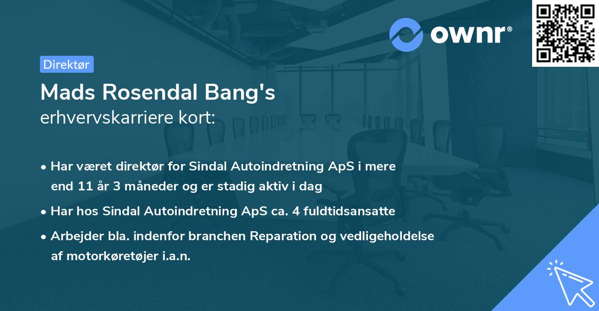 Mads Rosendal Bang's erhvervskarriere kort
