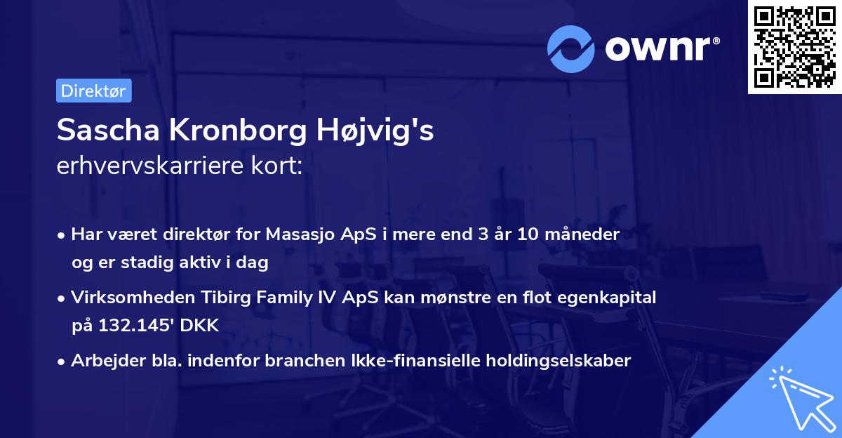 Sascha Kronborg Højvig's erhvervskarriere kort