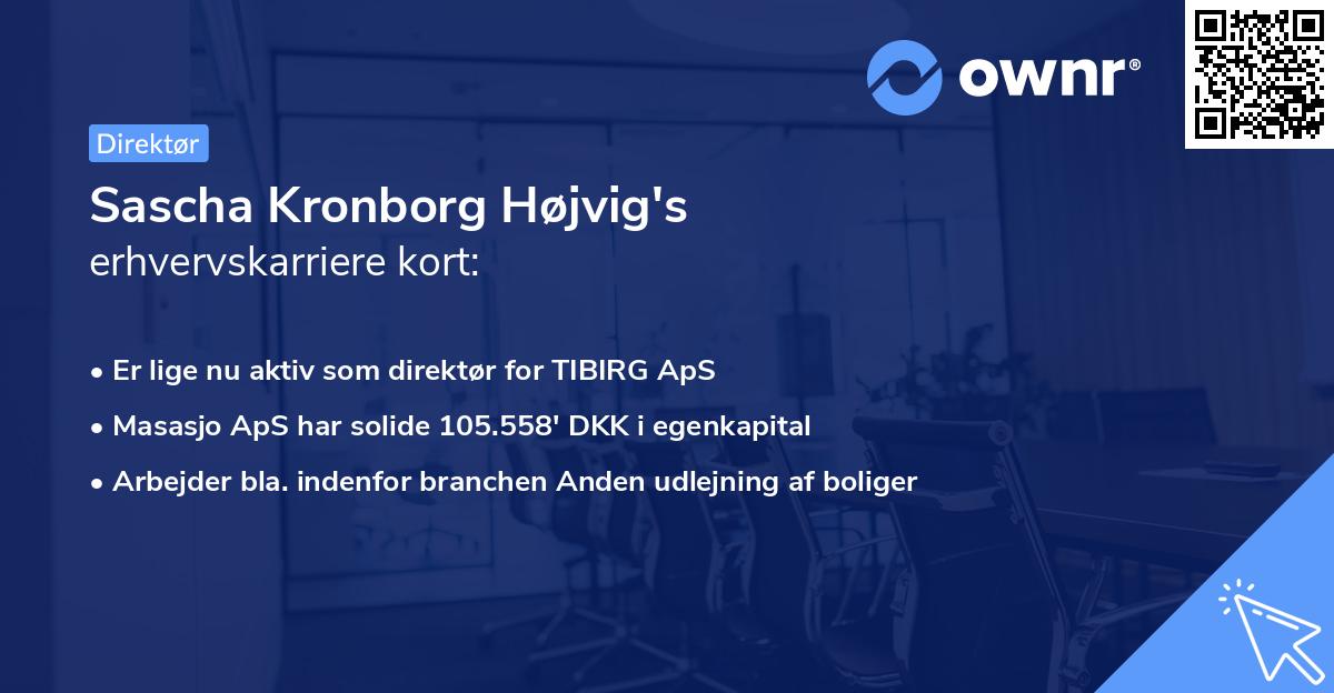 Sascha Kronborg Højvig's erhvervskarriere kort