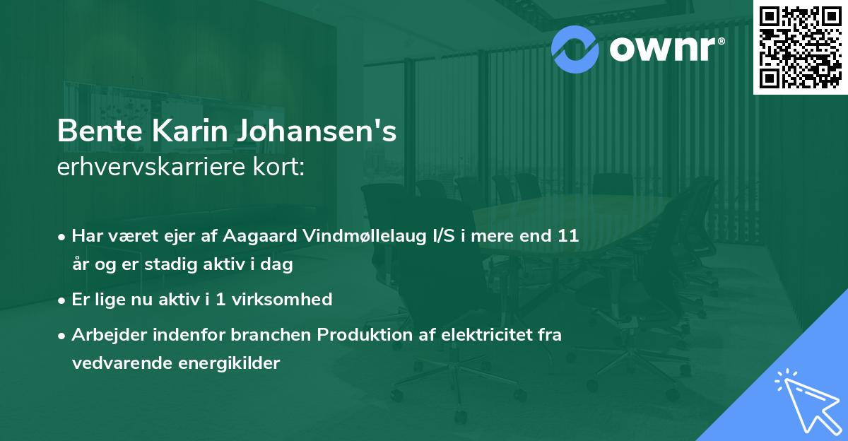 Bente Karin Johansen's erhvervskarriere kort
