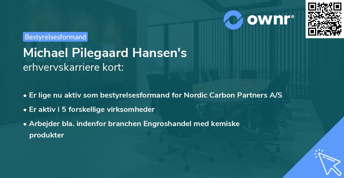 Michael Pilegaard Hansen's erhvervskarriere kort