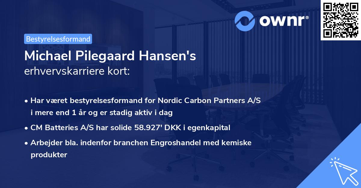 Michael Pilegaard Hansen's erhvervskarriere kort
