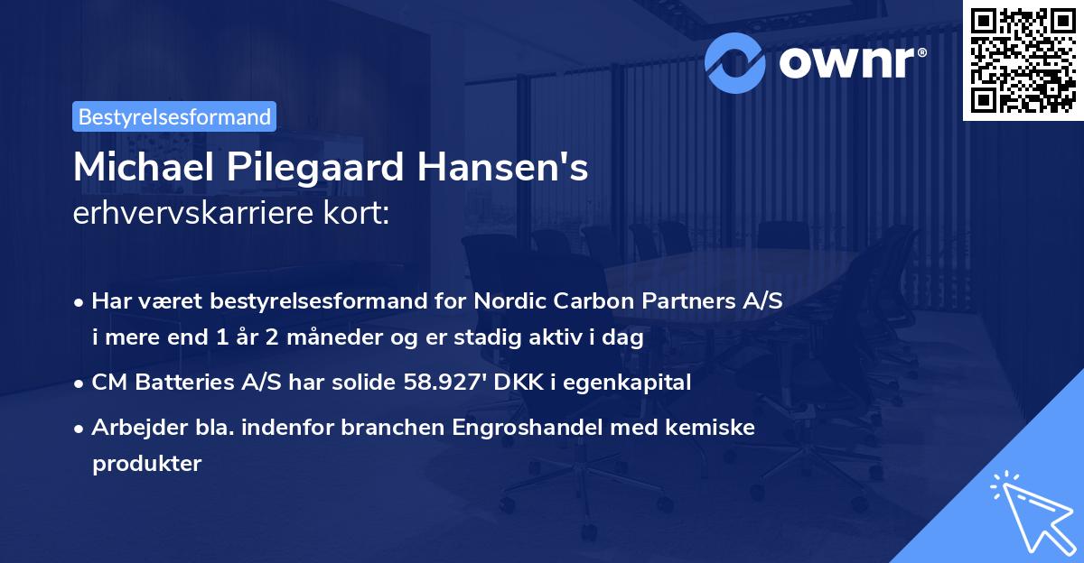 Michael Pilegaard Hansen's erhvervskarriere kort