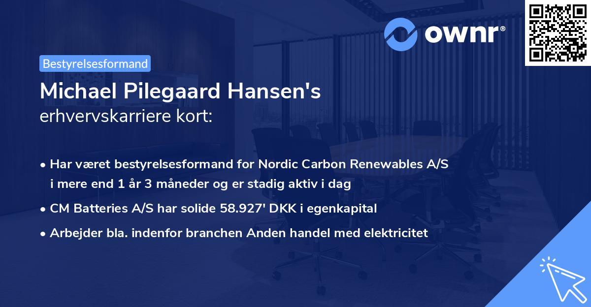 Michael Pilegaard Hansen's erhvervskarriere kort