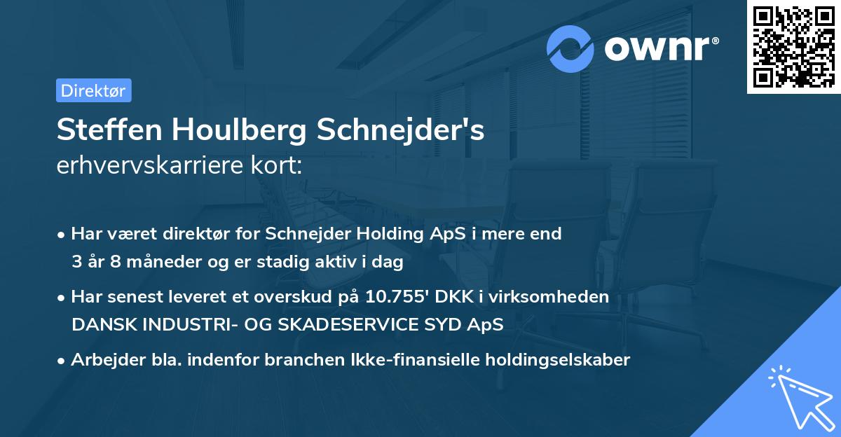Steffen Houlberg Schnejder's erhvervskarriere kort
