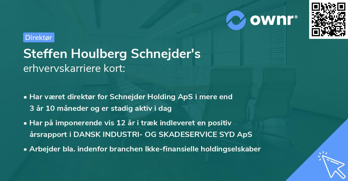 Steffen Houlberg Schnejder's erhvervskarriere kort
