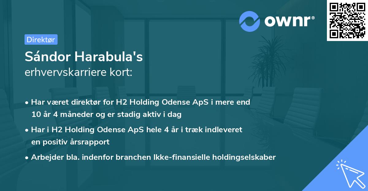 Sándor Harabula's erhvervskarriere kort