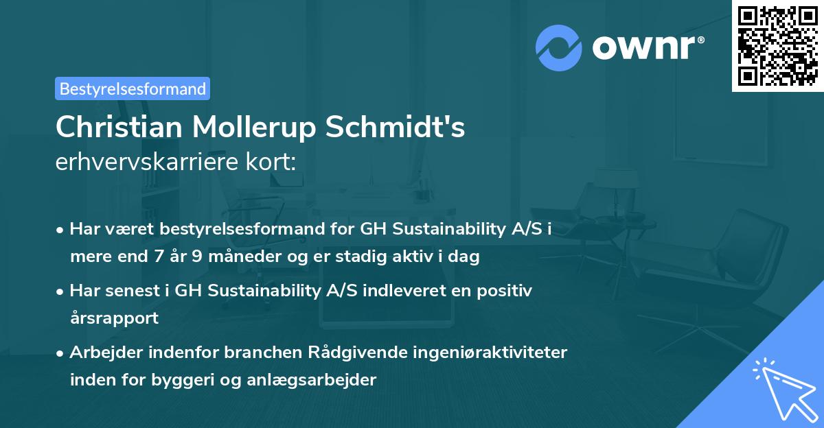 Christian Mollerup Schmidt's erhvervskarriere kort