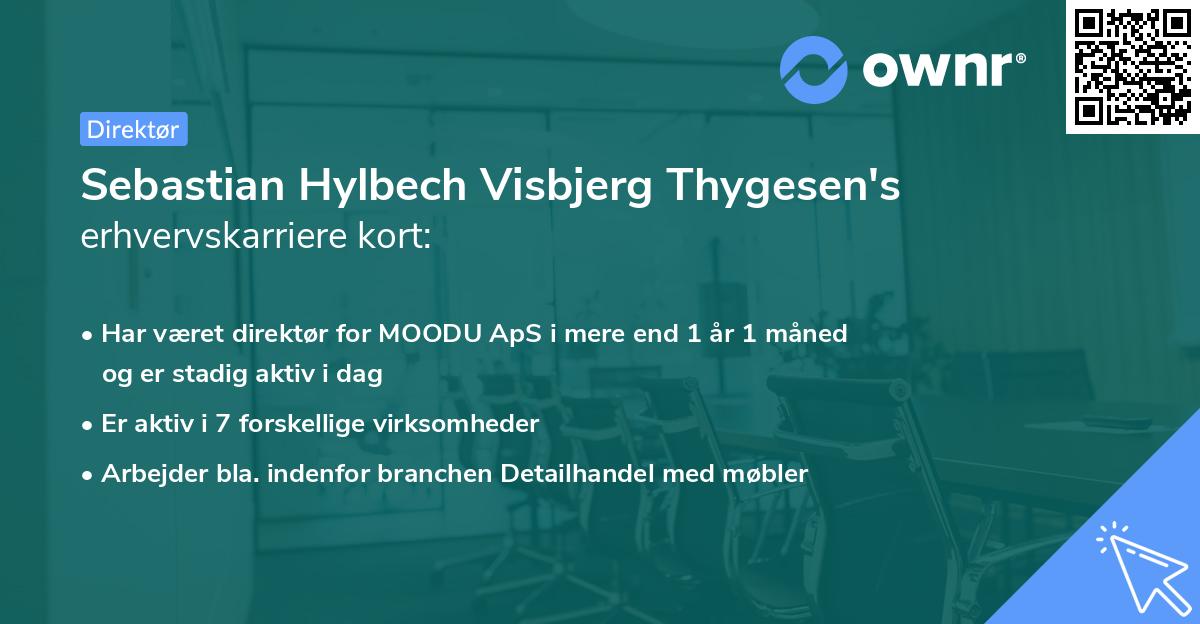 Sebastian Hylbech Visbjerg Thygesen's erhvervskarriere kort
