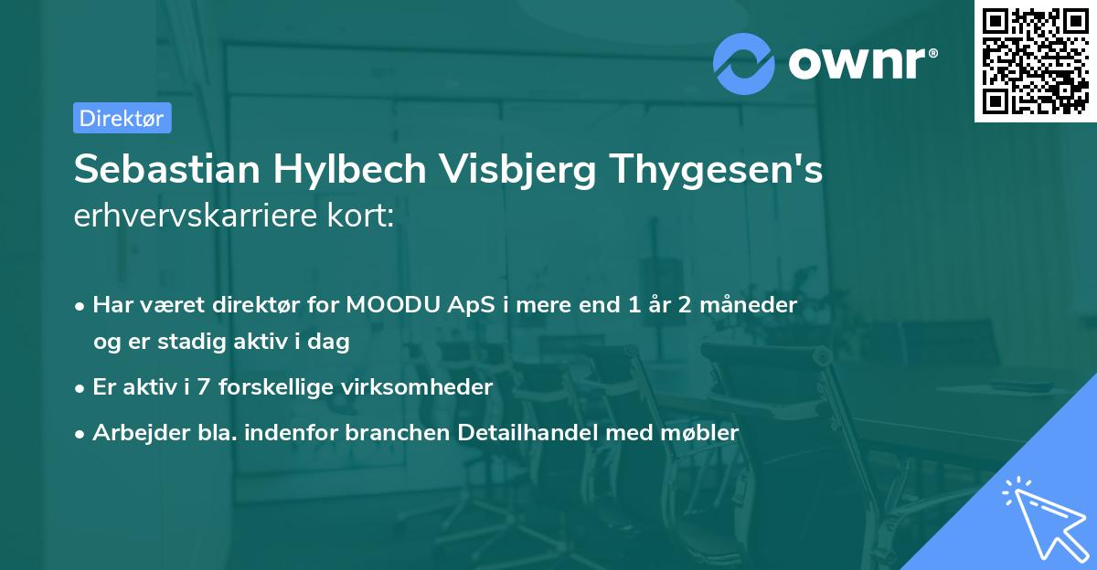 Sebastian Hylbech Visbjerg Thygesen's erhvervskarriere kort