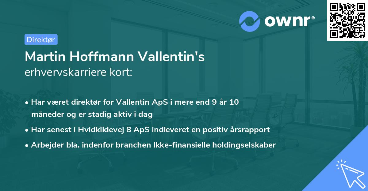 Martin Hoffmann Vallentin's erhvervskarriere kort