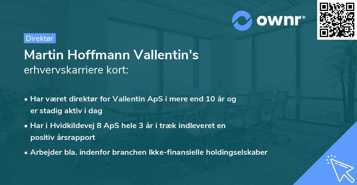 Martin Hoffmann Vallentin's erhvervskarriere kort