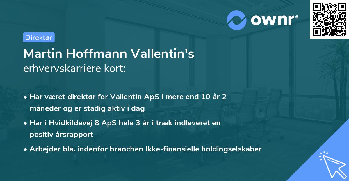 Martin Hoffmann Vallentin's erhvervskarriere kort