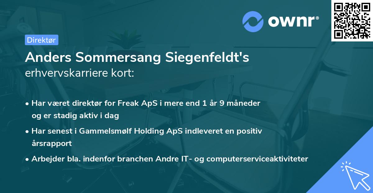 Anders Sommersang Siegenfeldt's erhvervskarriere kort