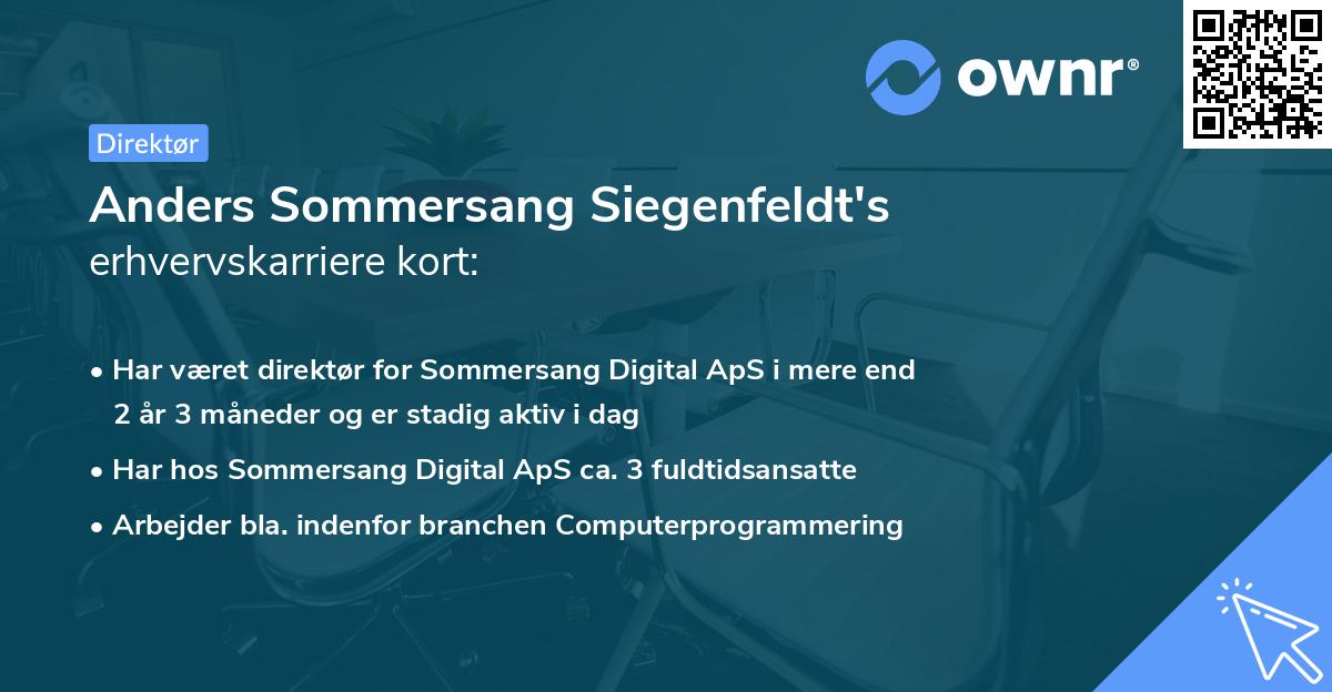 Anders Sommersang Siegenfeldt's erhvervskarriere kort
