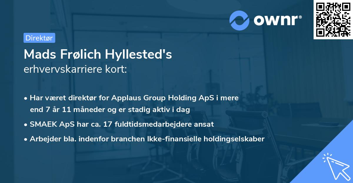 Mads Frølich Hyllested's erhvervskarriere kort