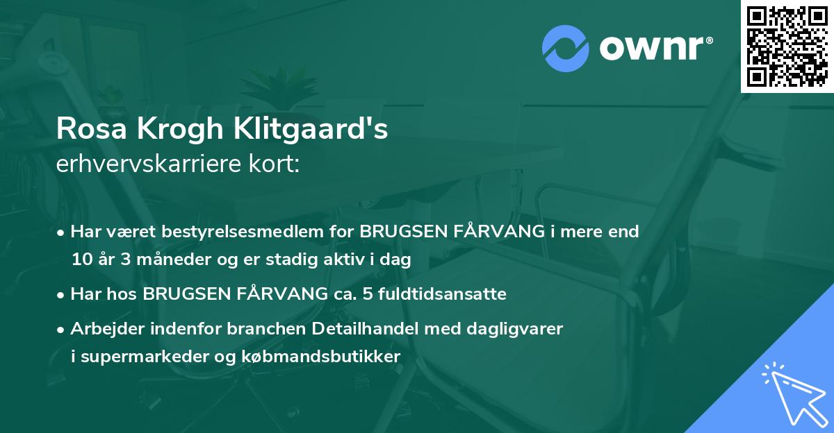 Rosa Krogh Klitgaard's erhvervskarriere kort