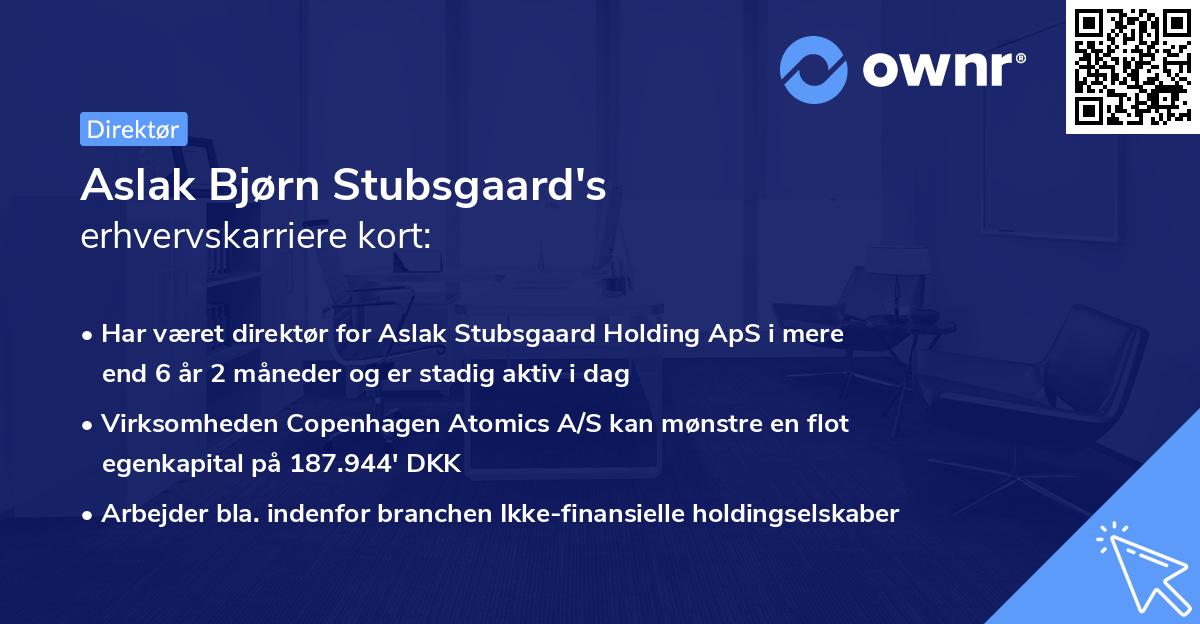 Aslak Bjørn Stubsgaard's erhvervskarriere kort