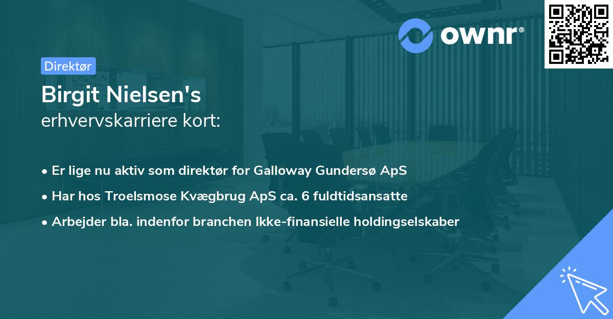 Birgit Nielsen's erhvervskarriere kort