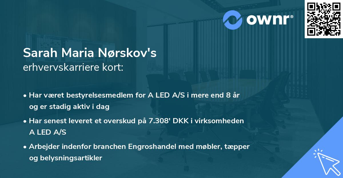 Sarah Maria Nørskov's erhvervskarriere kort