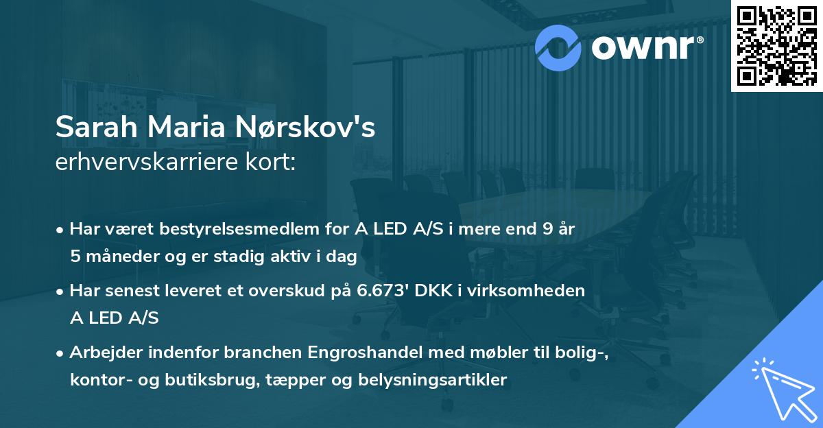 Sarah Maria Nørskov's erhvervskarriere kort