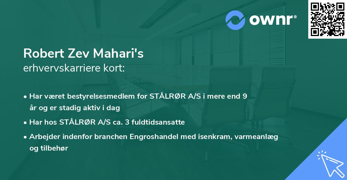 Robert Zev Mahari's erhvervskarriere kort