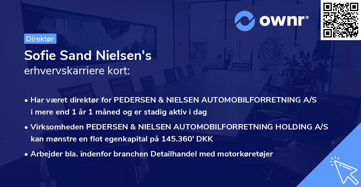 Sofie Sand Nielsen's erhvervskarriere kort