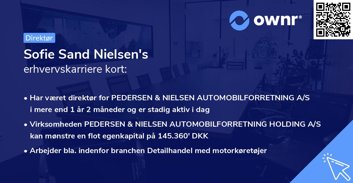 Sofie Sand Nielsen's erhvervskarriere kort