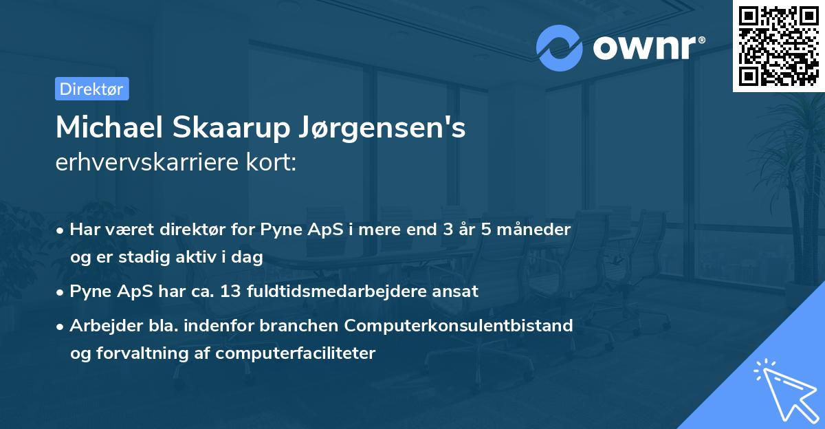 Michael Skaarup Jørgensen's erhvervskarriere kort