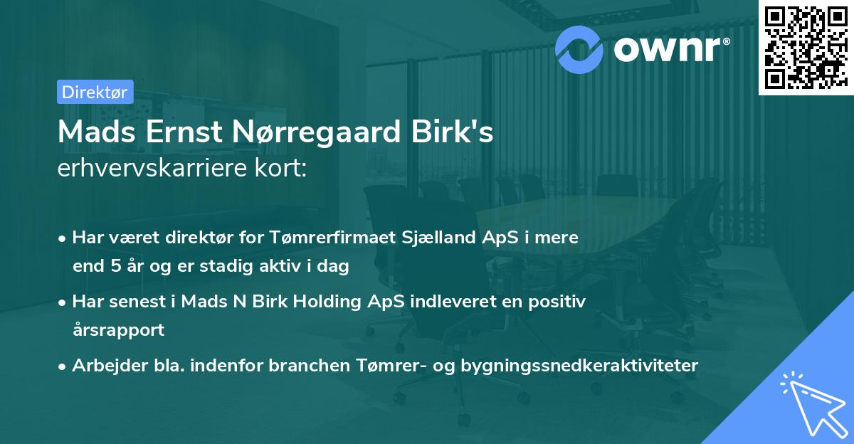Mads Ernst Nørregaard Birk's erhvervskarriere kort