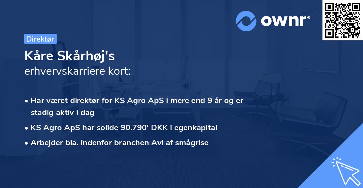 Kåre Skårhøj's erhvervskarriere kort