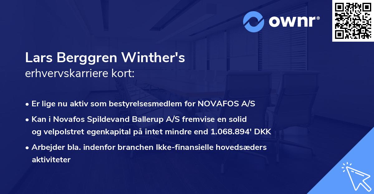 Lars Berggren Winther's erhvervskarriere kort