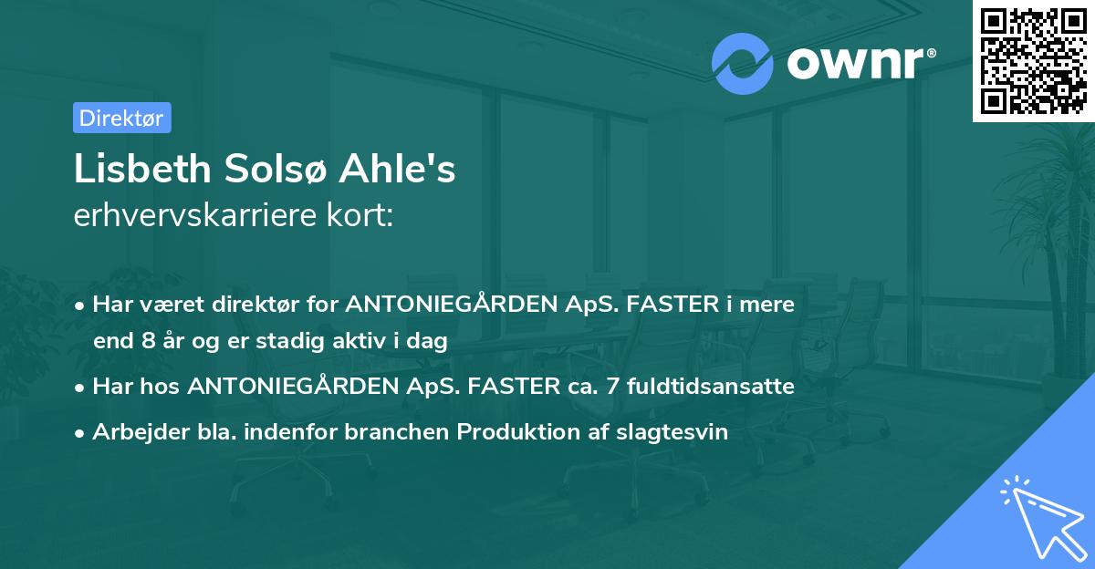 Lisbeth Solsø Ahle's erhvervskarriere kort