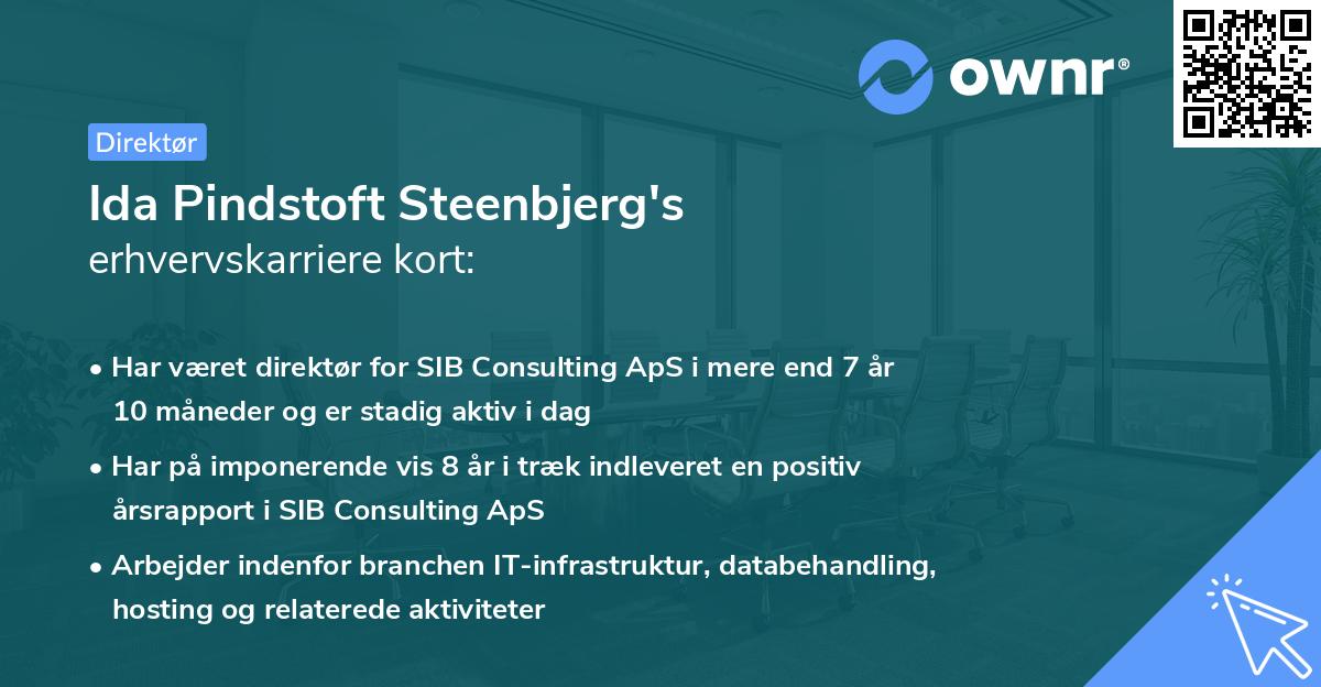 Ida Pindstoft Steenbjerg's erhvervskarriere kort