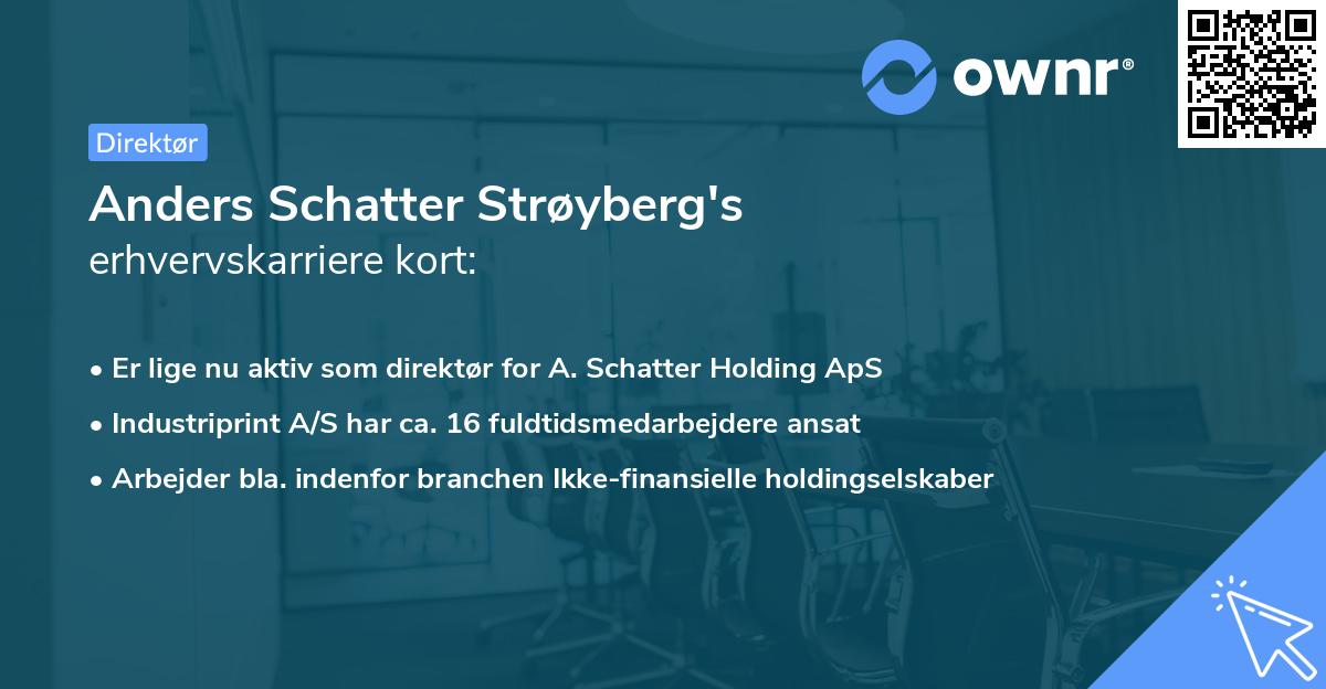 Anders Schatter Strøyberg's erhvervskarriere kort