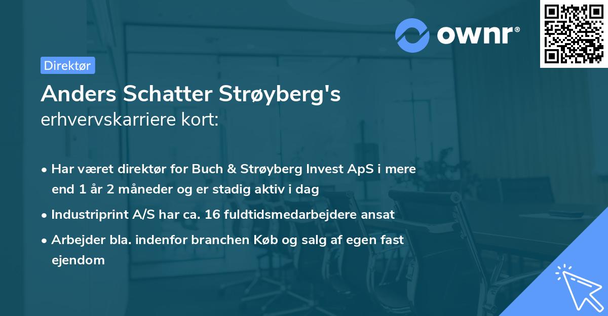 Anders Schatter Strøyberg's erhvervskarriere kort