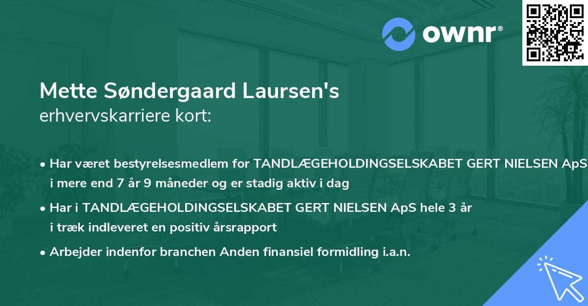 Mette Søndergaard Laursen's erhvervskarriere kort
