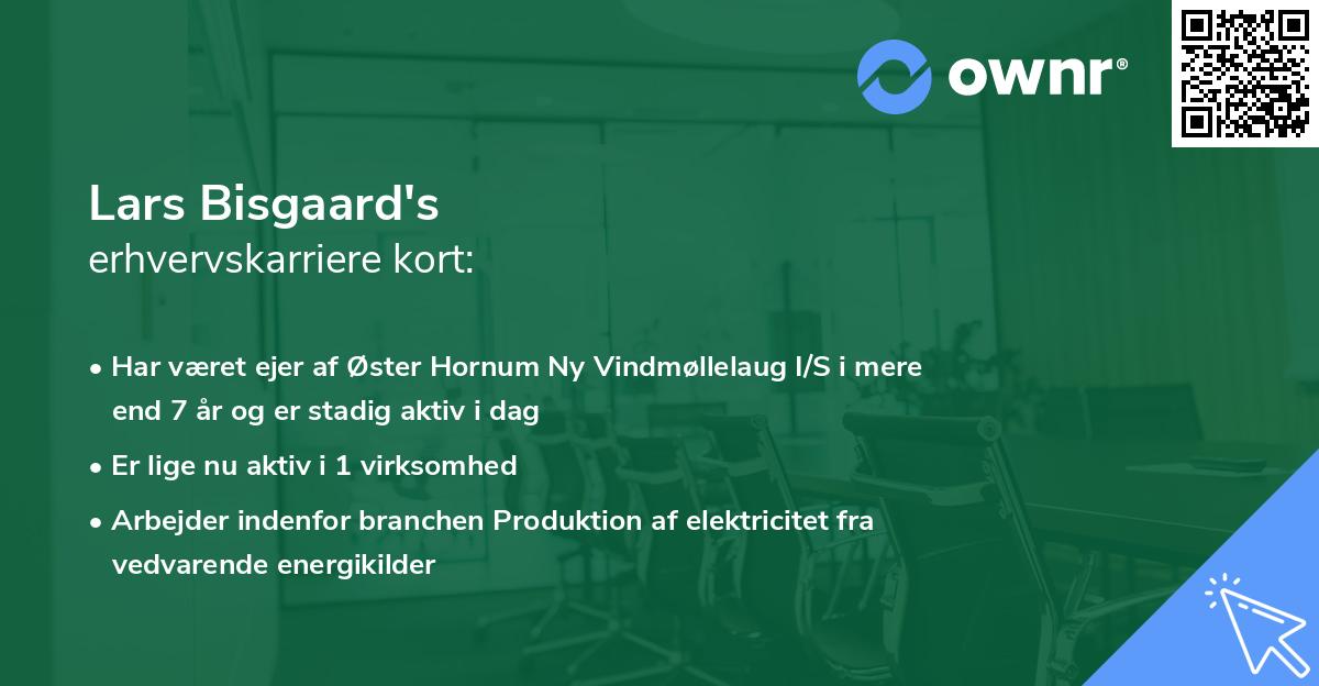 Lars Bisgaard's erhvervskarriere kort